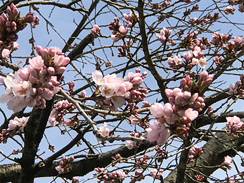 登山教室